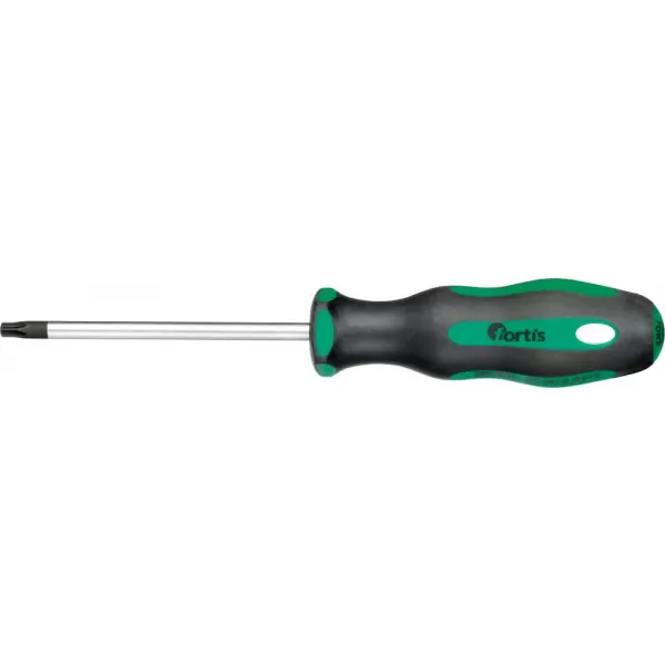 Šroubovák T30x100mm FORTIS