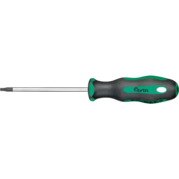 Šroubovák T20x100mm FORTIS