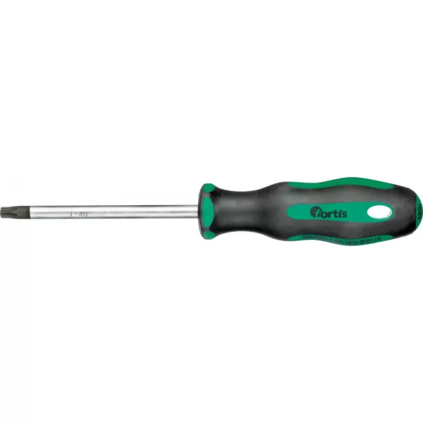 Šroubovák T40x100mm FORTIS