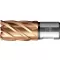 Jádrový vrták 12/30mm VARIOPlus krátký KBK HSS stopka Weldon BDS